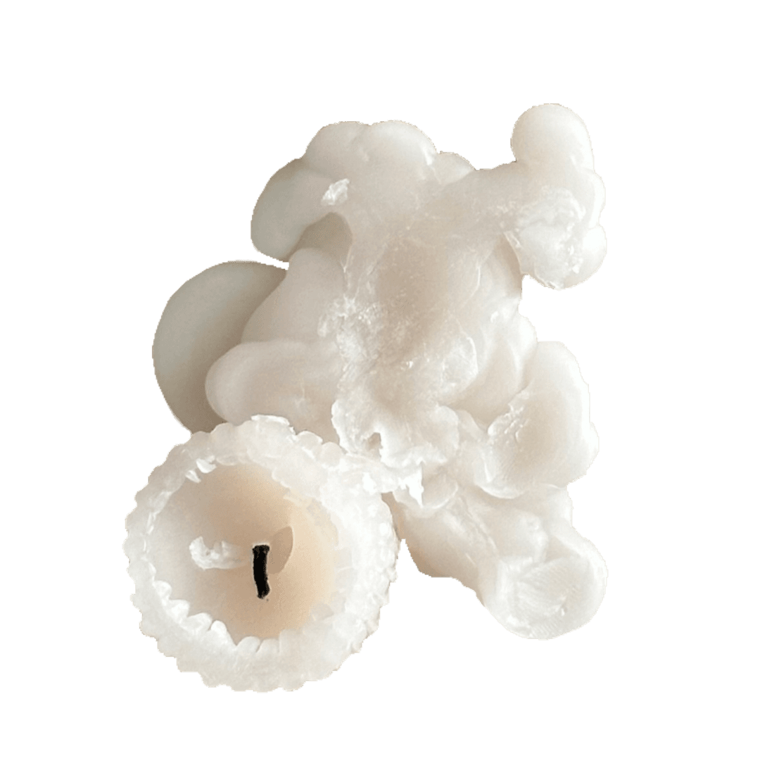 melted candle