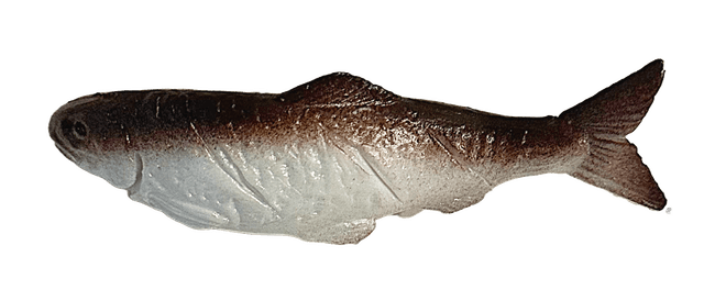 fish clip 2