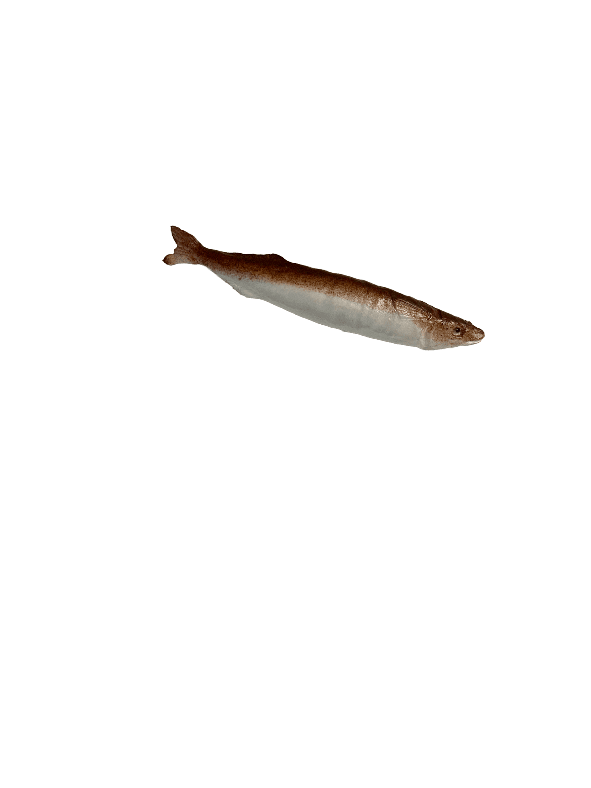 fish clip 1